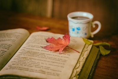 Book Page Coasters